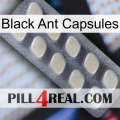 Black Ant Capsules 08